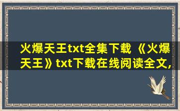 火爆天王txt全集下载 《火爆天王》txt下载在线阅读全文,求百度网盘云资源